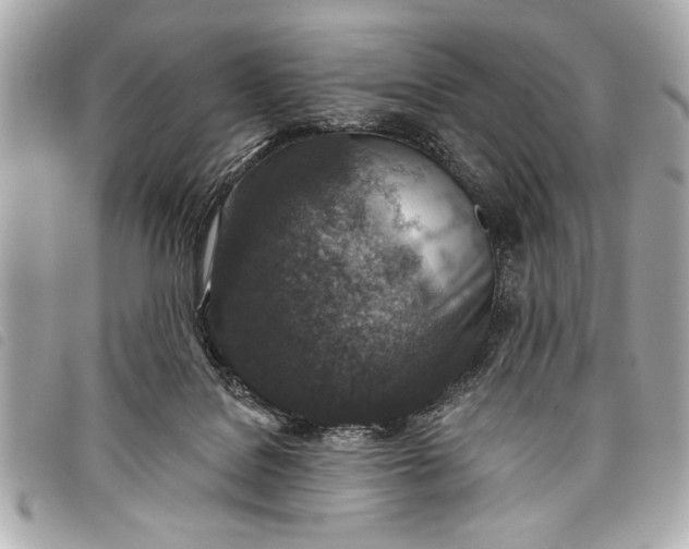 X0000098070076200804181144