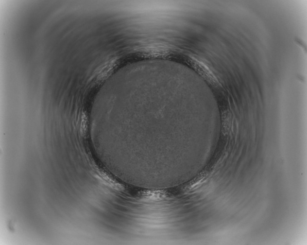 X0000098070077200804181144