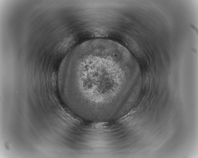 X0000098070078200804181144