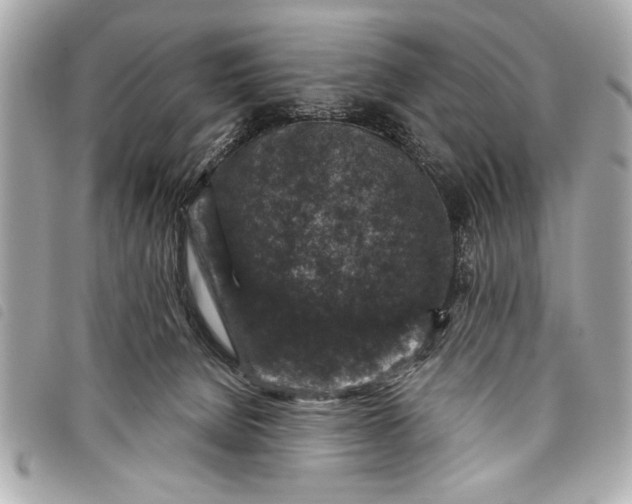 X0000098070080200804181144