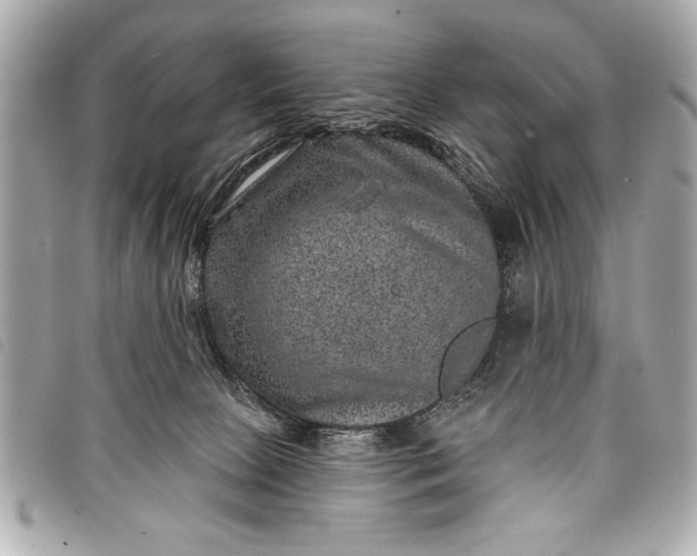 X0000098070081200804181144