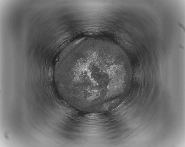 X0000098070082200804181144