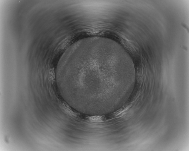 X0000098070085200804181144