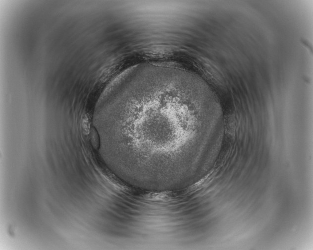 X0000098070086200804181144