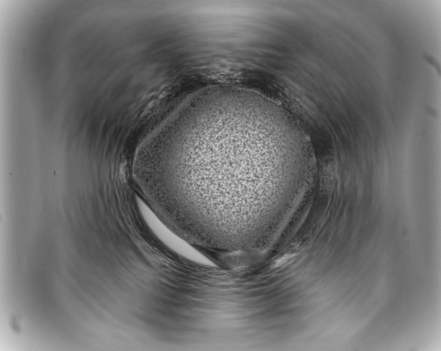 X0000098070088200804181144