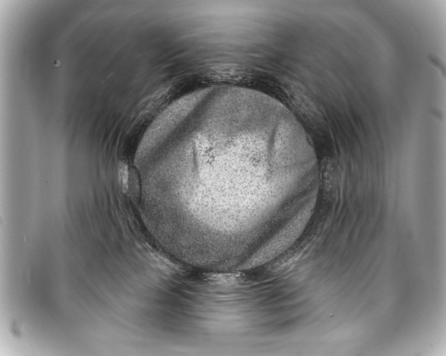 X0000098070089200804181144