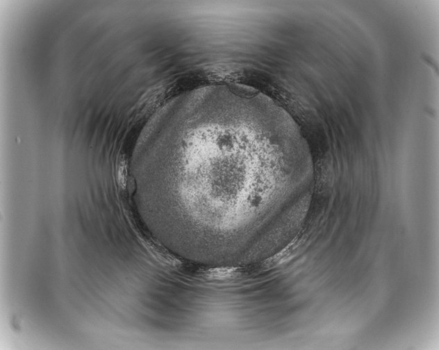 X0000098070090200804181144