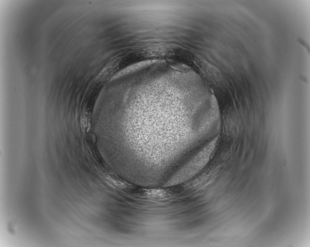 X0000098070091200804181144