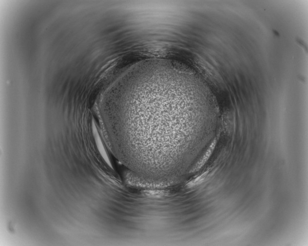 X0000098070092200804181144