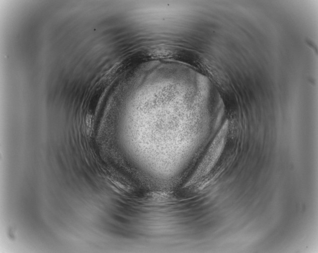 X0000098070093200804181144