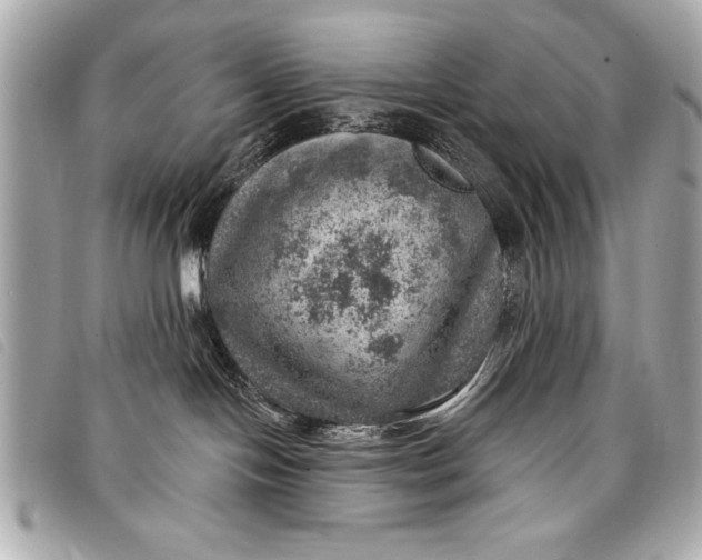 X0000098070094200804181144