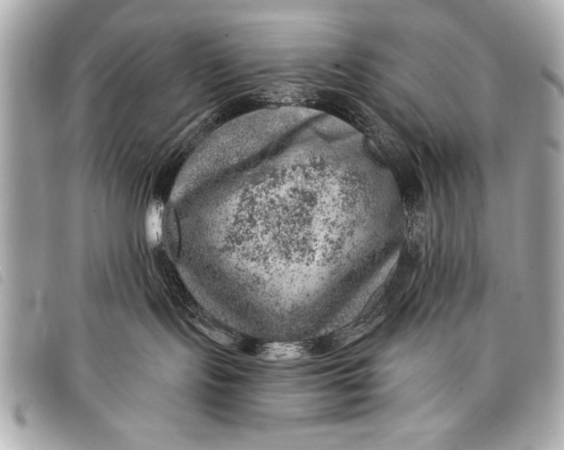 X0000098070095200804181144