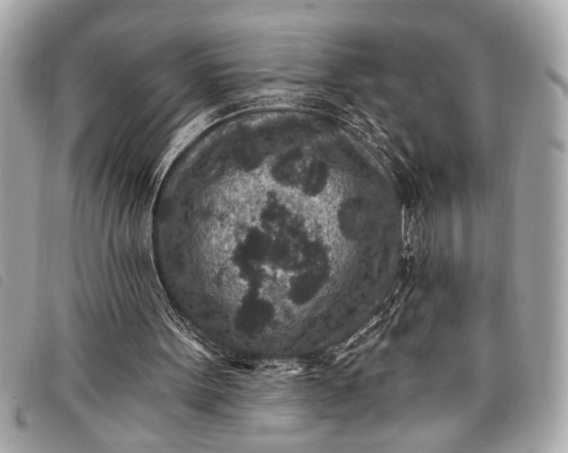 X0000098070099200804181143