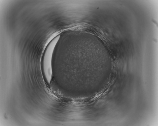 X0000098070100200804181143