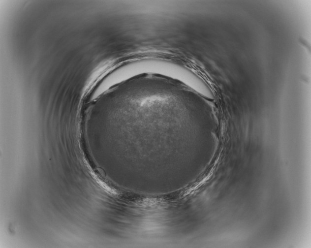 X0000098070101200804181143