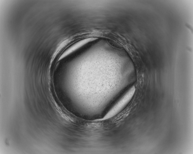 X0000098070102200804181143