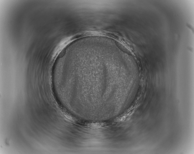 X0000098070103200804181143