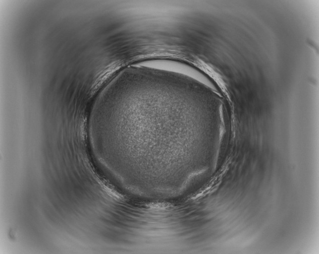 X0000098070105200804181143