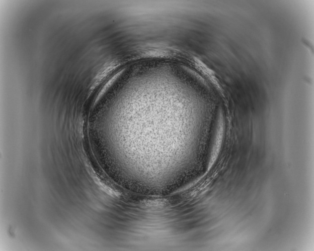 X0000098070106200804181143