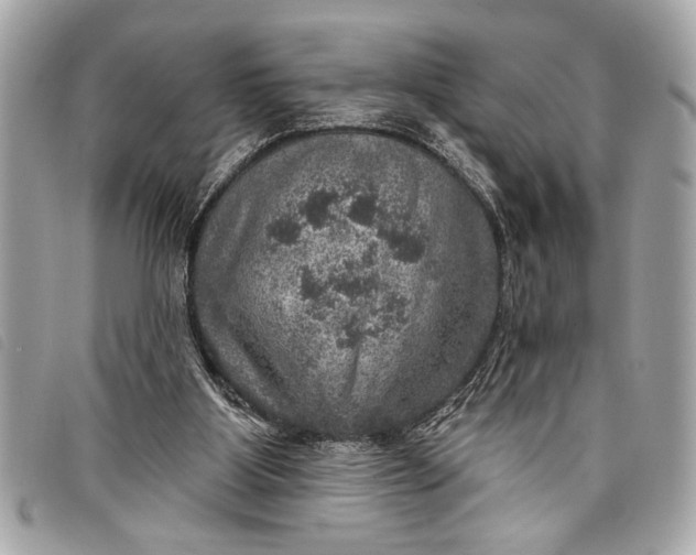 X0000098070107200804181143