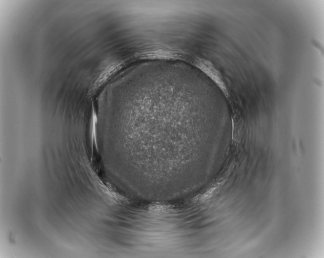 X0000098070109200804181143