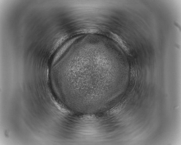 X0000098070110200804181143