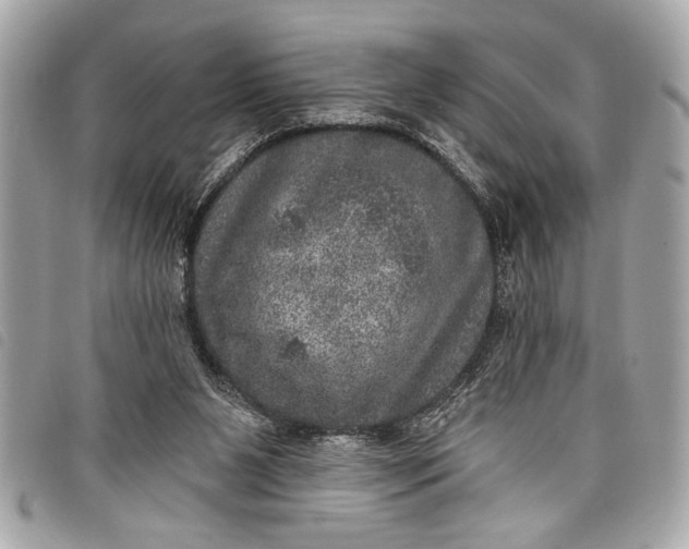 X0000098070111200804181143