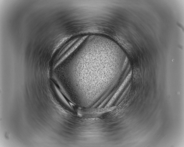 X0000098070112200804181143