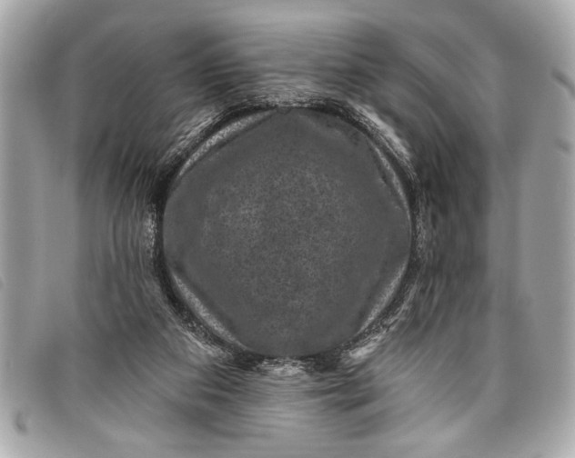 X0000098070113200804181143