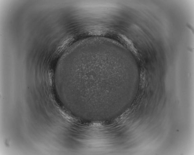 X0000098070114200804181143