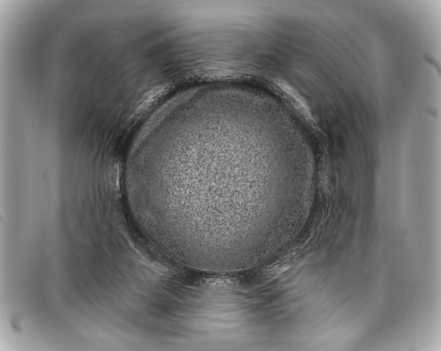 X0000098070115200804181143