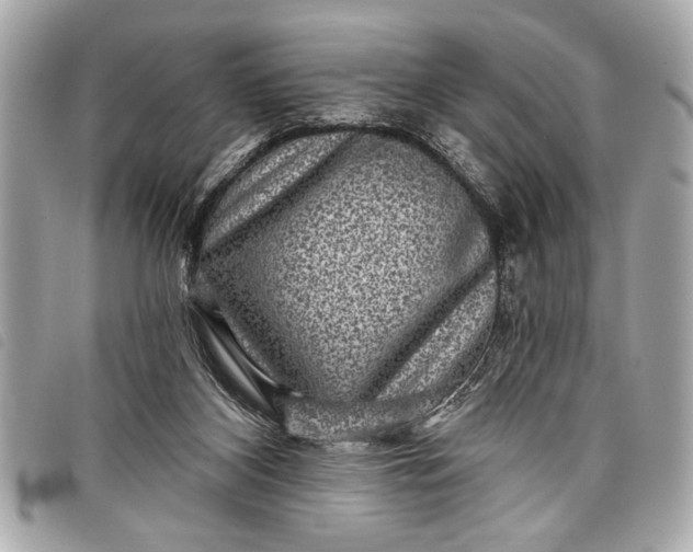 X0000098070116200804181143