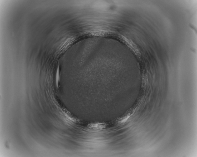 X0000098070117200804181143