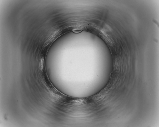 X0000098070118200804181143