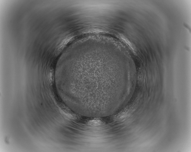 X0000098070119200804181143