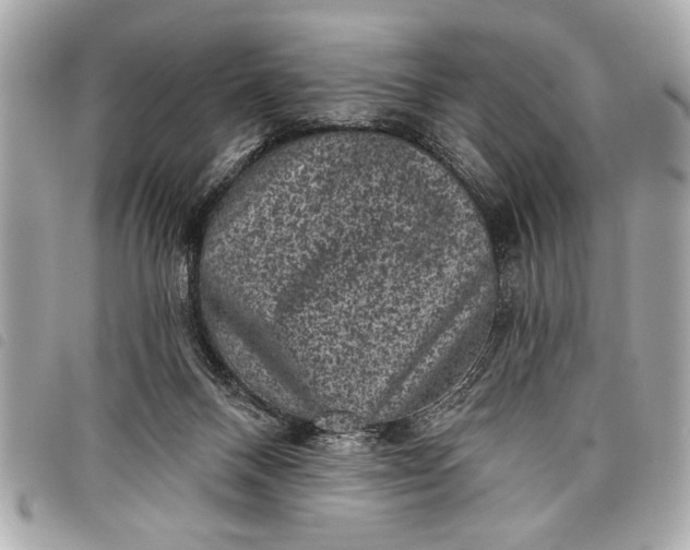 X0000098070120200804181143