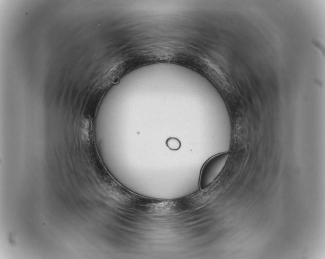 X0000098070122200804181143