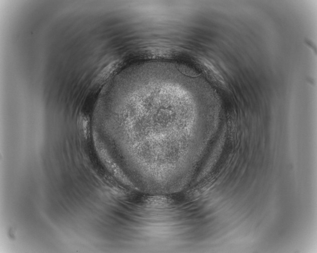 X0000098070123200804181143