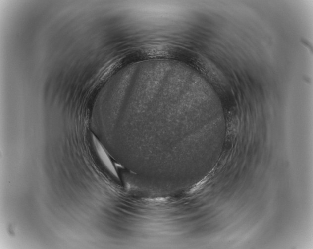 X0000098070124200804181143