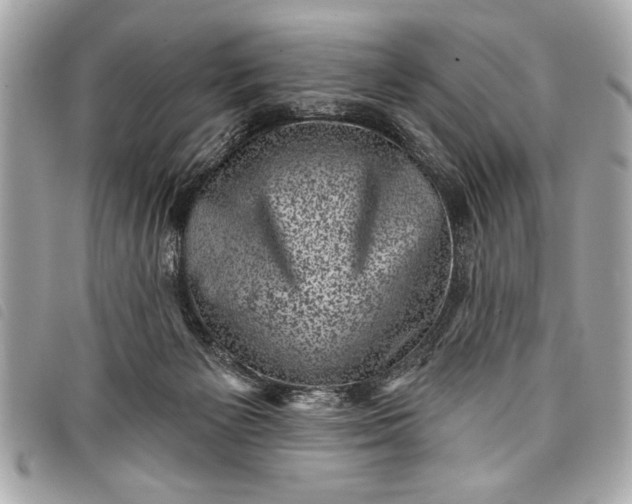 X0000098070125200804181143