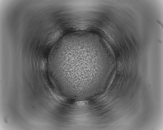 X0000098070126200804181143