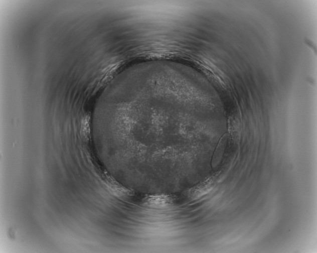 X0000098070127200804181143