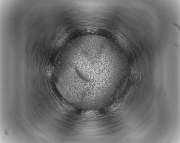 X0000098070129200804181143