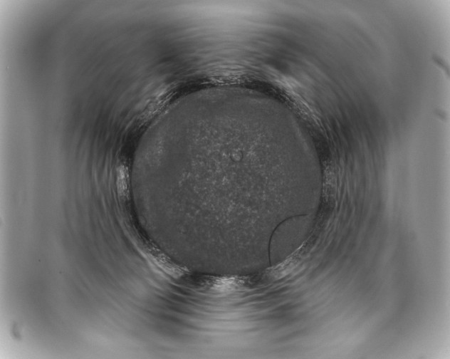 X0000098070130200804181143