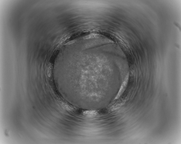 X0000098070133200804181143