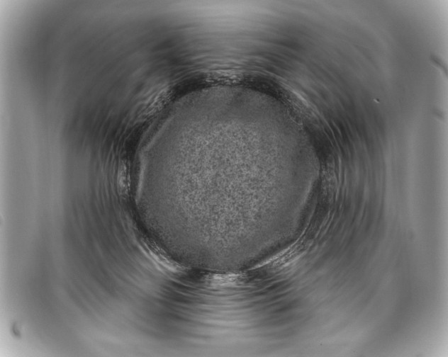 X0000098070134200804181143