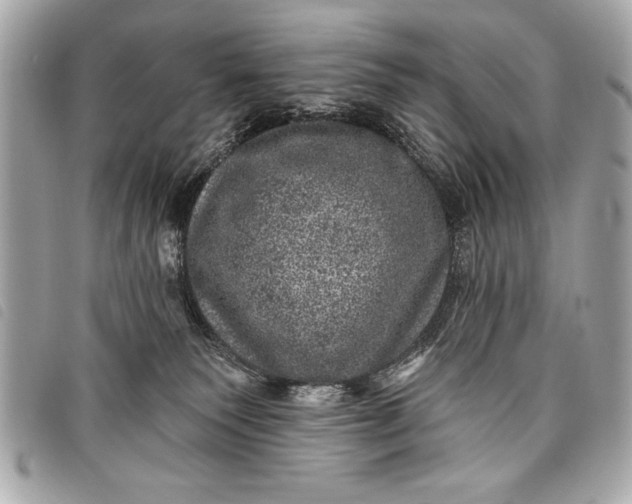 X0000098070135200804181143