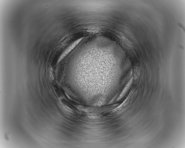 X0000098070136200804181143