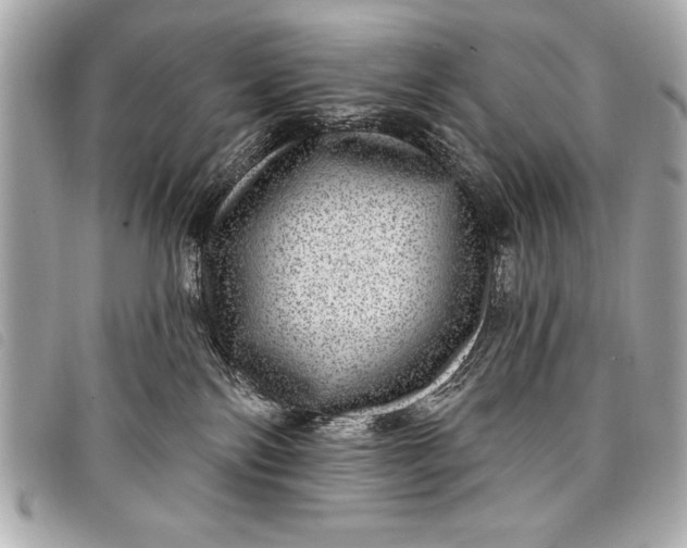 X0000098070138200804181143