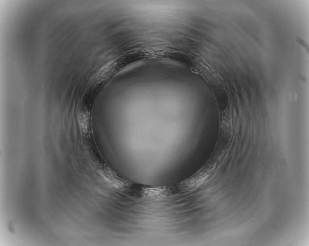 X0000098070139200804181143